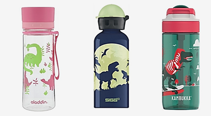 Water bottle with dinosaurs for children